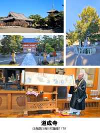 【和歌山】和歌山1泊2日ドライブ旅 2日目「日高」