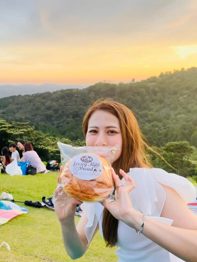 【千葉】牧場で花火！マザー牧場🎇