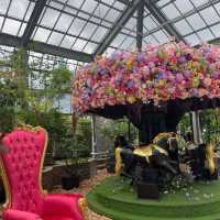 京成バラ🌹園で、癒し時間