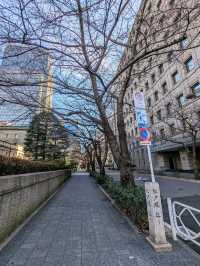 日本東京-鄰近日本橋三越的平假商旅：大手町京王布萊索酒店