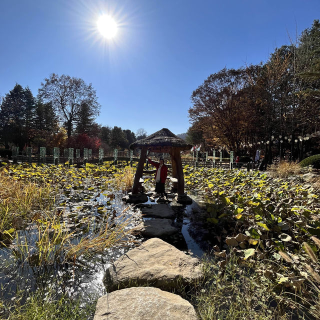 K-drama on Nami Island, South Korea