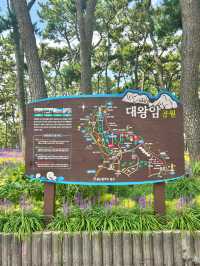 대만이 생각나는 국내 히든 플레이스 대왕암공원💚