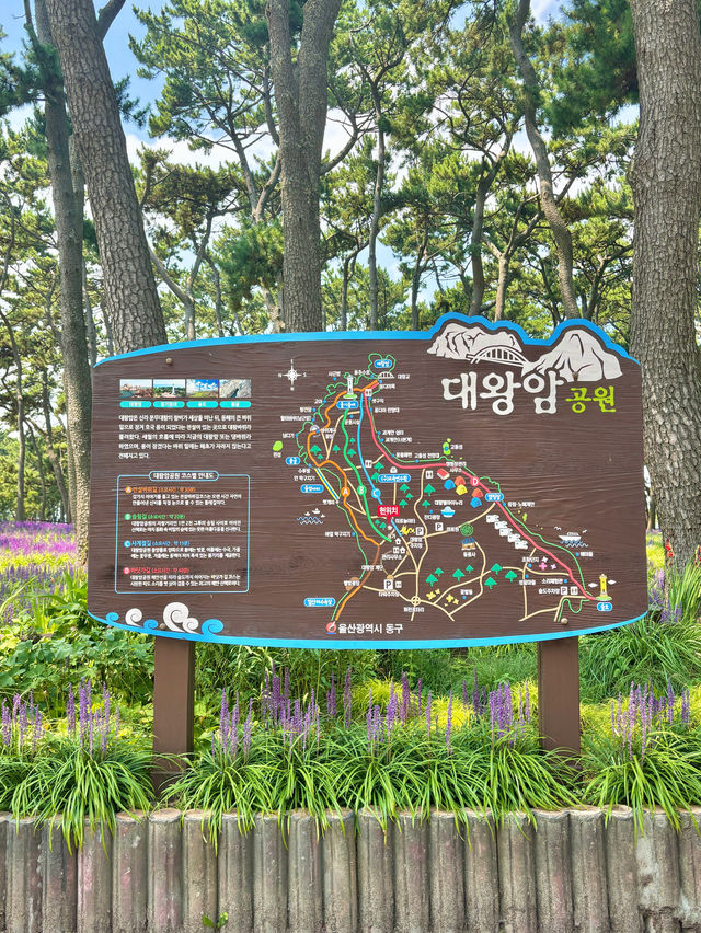 대만이 생각나는 국내 히든 플레이스 대왕암공원💚