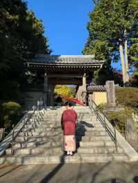 〜神奈川県〜鎌倉の穴場スポット浄明寺