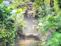 廈門園林植物園《雨林世界》