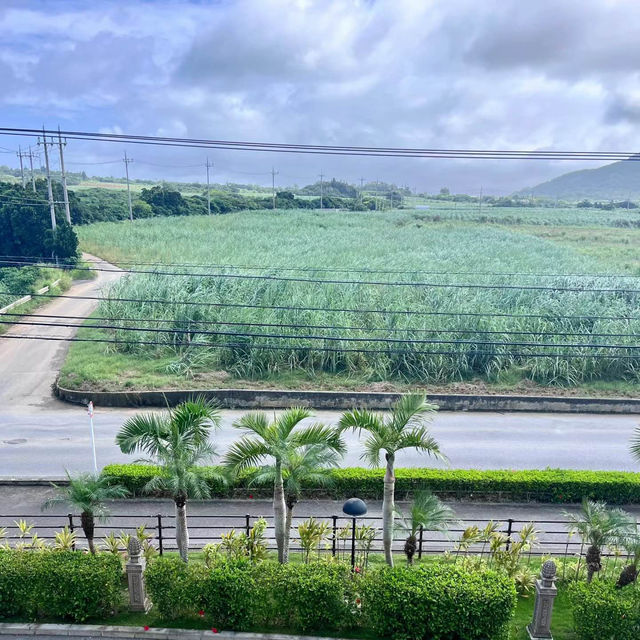 碧藍海灘，純粹快樂與寧靜🏝️🌊🐠【久米島】