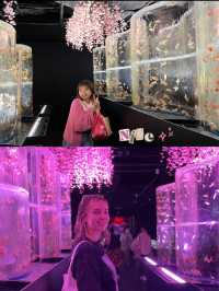 Mesmerising Art Aquarium Museum in Tokyo, Japan 🐠