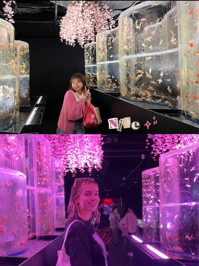 Mesmerising Art Aquarium Museum in Tokyo, Japan 🐠