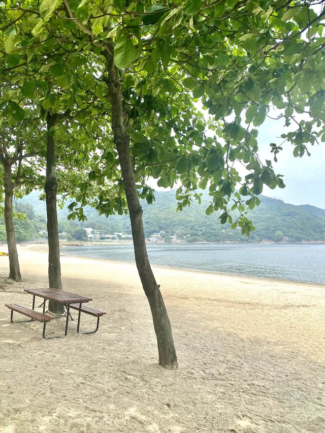 泳灘的⛱️ 迷人意境 🐚