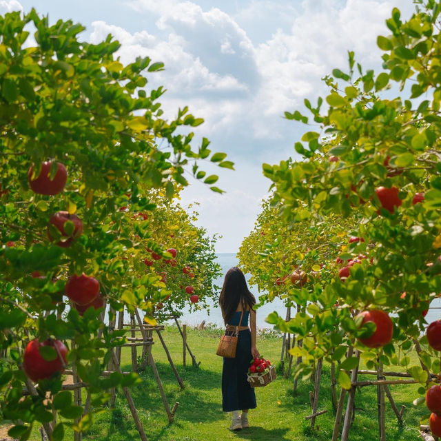 รวม 8 ที่เที่ยว ‘พัทยา‘ ที่ควรมาเช็คอิน 🍋🏝️✨