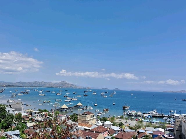 【インドネシア】コモド島周辺でのんびりひとり旅