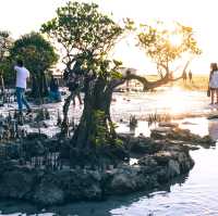 【スンバ島】ビーチにあるマングローブと夕陽が美しいビーチ