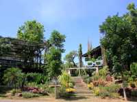 เที่ยวคาเฟ่ 22 องศา วังน้ำเขียว