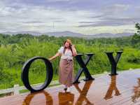 Oxy Resort Chiang Rai ที่พักสไตล์โรงนายุโรป