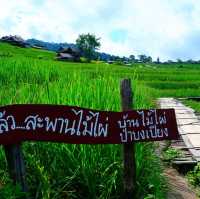 ก้ามปูโฮมสเตย์ ป่าบงเปียง