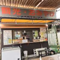 香川うどん食べ歩き4選✨