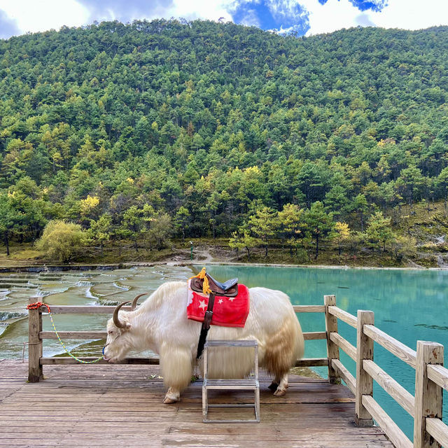 ONE Day Trip Jade Dragon Snow Mountain🏔️