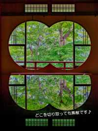 青もみじのリフレクションに酔いしれる【嵐山 祐斎亭】