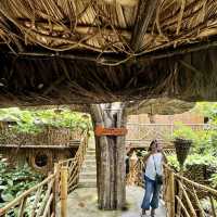 must try to visit- Aluminak hospitality