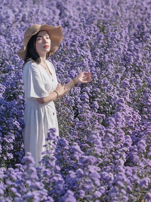 I Love Flower Farm สวนดอกไม้เชียงใหม่