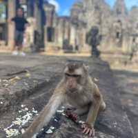 カンボジア🇰🇭〜シェムリアップ〜①