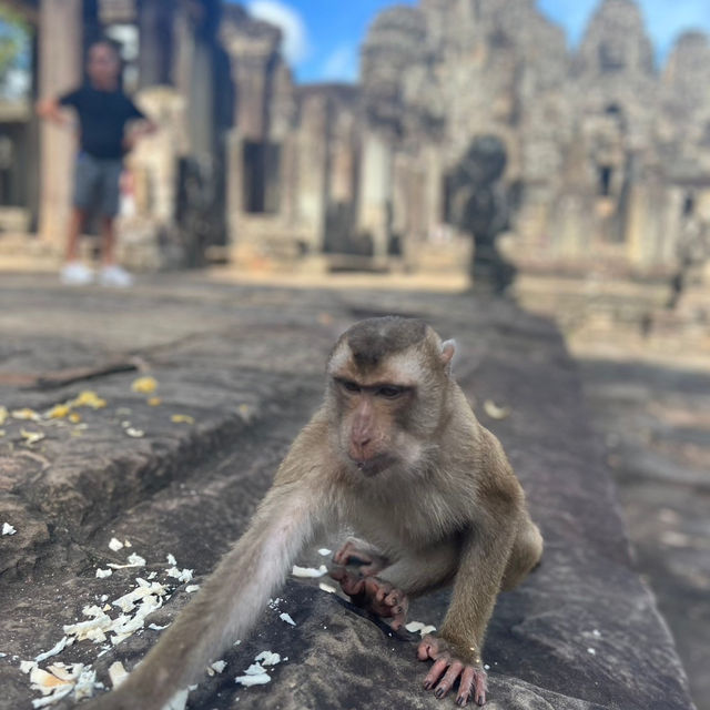 カンボジア🇰🇭〜シェムリアップ〜①