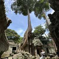A Journey through the Timeless of Angkor