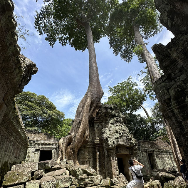 A Journey through the Timeless of Angkor
