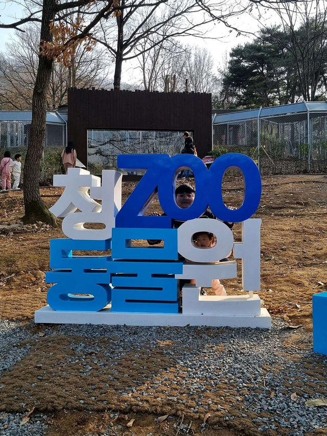 🌼༉₊🌤 청주랜드동물원
