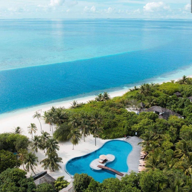 Unwind in the Maldives: Island Paradise