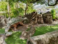 Dino Park Mini Golf & Restaurant Dino Park Phuket