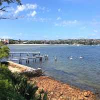 Sydney’s Scenic Coastal Secret