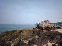 หาดแสม สะพานเขียว เกาะล้าน