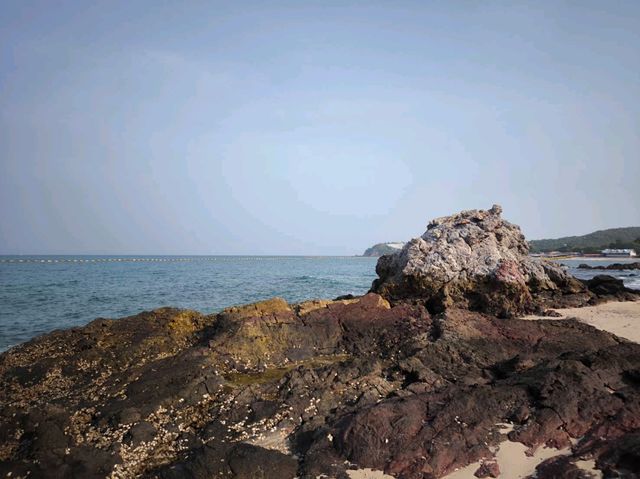 หาดแสม สะพานเขียว เกาะล้าน