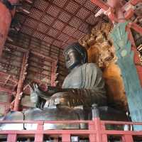เมืองนาราในฤดูใบไม้ร่วง !!!
