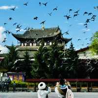 Road trip into Shangri-La