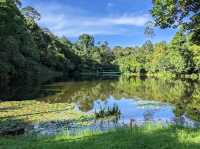 Kabili-Sepilok Forest Reserve