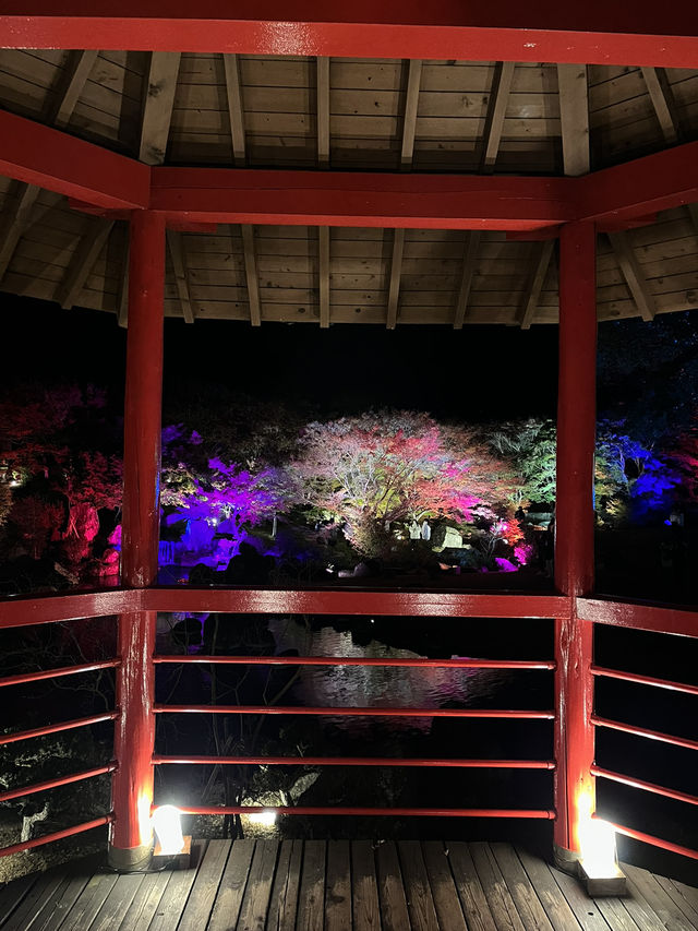 【大分観光】ライトアップされた紅葉を楽しめる日本庭園🍁✨️