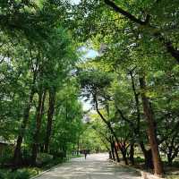 🌲 木場公園🌲城市綠洲🌲