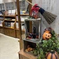 【難波】ジブリの世界観を感じられるどんぐり共和国🍂
