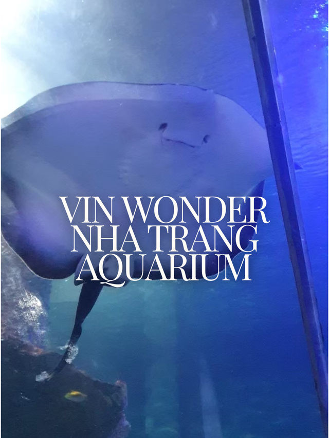Vin Wonder Nha Trang Aquarium 🐠🪼