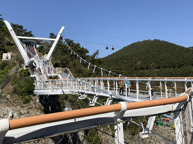 Conquering Heights: A Walk Across Songdo Yonggung Suspension Bridge