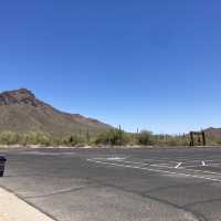 Arizona の初夏