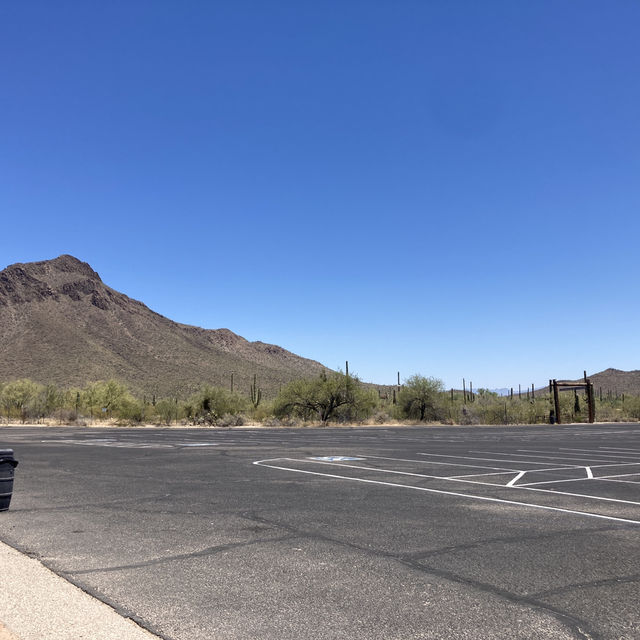Arizona の初夏