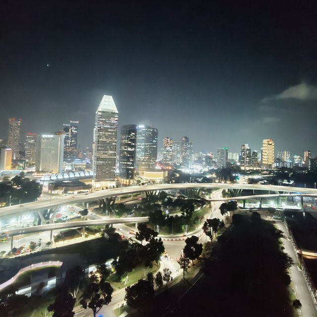 360 Degrees of Magic: The Singapore Flyer After Dark🎡