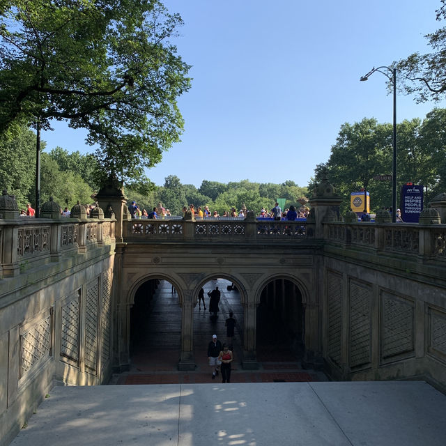 Urban Oasis: A Perfect Day in Central Park