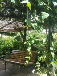 SECRET GARDEN ON A ROOFTOP 