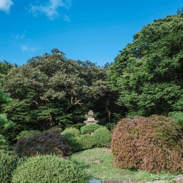 모든것이 조화로운