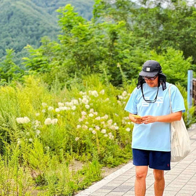 여름여행 태백에서 들린 통리탄탄파크