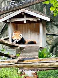 横浜にありながら無料の動物園【神奈川/桜木町】